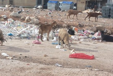 التدوير … للحد من التغيرات المناخية