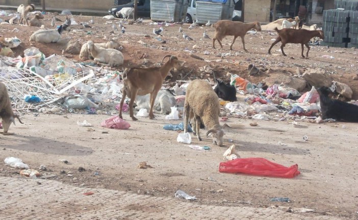 التدوير … للحد من التغيرات المناخية