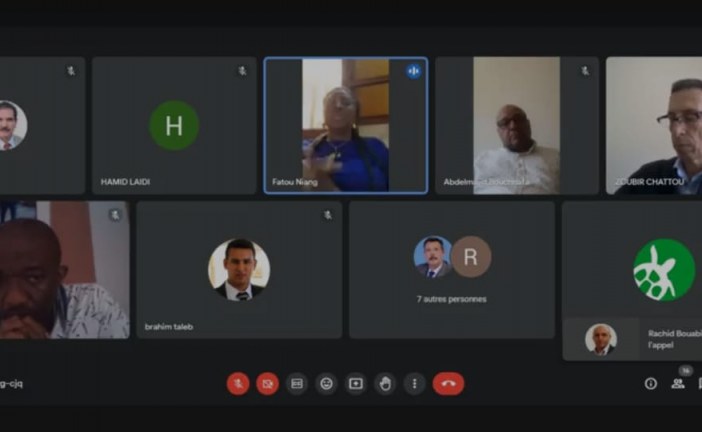 Webinaire Africain :Accent mis sur la nécessité de créer Un centre africain du journalisme Environnemental au Maroc