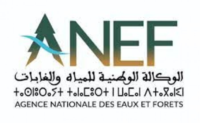 الوكالة الوطنية للمياه والغابات تعقد ثاني مجلس إداري لها تحت رئاسة رئيس الحكومة، السيد عزيز أخنوش. (بيان صحفي).