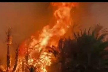 حريق بواحتي اديس والزاوية اقليم طاطا