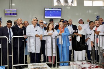 السيد صديقي يطلع بميناء طنجة على عملية رقمنة المزادات العلنية لبيع منتوجات البحر بسوق السمك بالجملة
