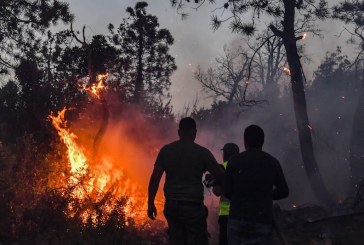 المغرب يُعزي الجزائر بشأن ضحايا الحرائق