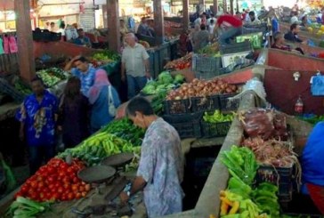 مندوبية التخطيط: تجار الجملة يتوقعون استقرارا في المبيعات