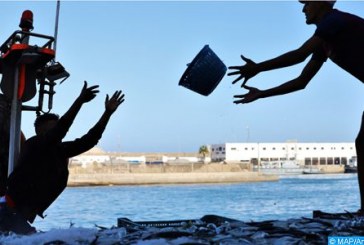 ميناء العرائش : زيادة حجم مفرغات الصيد بنسبة 13 % سنة 2023 (تقرير)