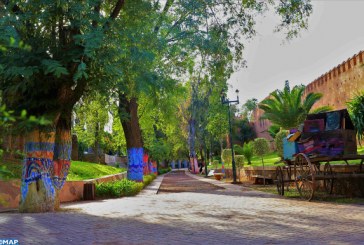 وجدة .. الدورة الرابعة لأيام الشرق للبيئة تناقش الحلول البيئية للتنمية المستدامة