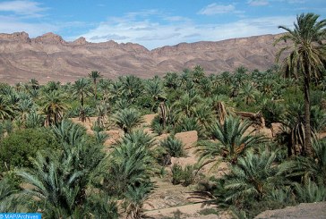 الفلاحة في المجال الواحي بين التنوع والإكراه المناخي