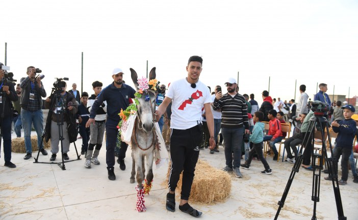 مهرجان بني عمار.. أسئلة “التراث اللامادي أفقا للتفكير” وكرنفال الحمير مسك الختام