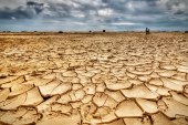 المملكة تنضم إلى تحالف مواجهة الجفاف الدولي