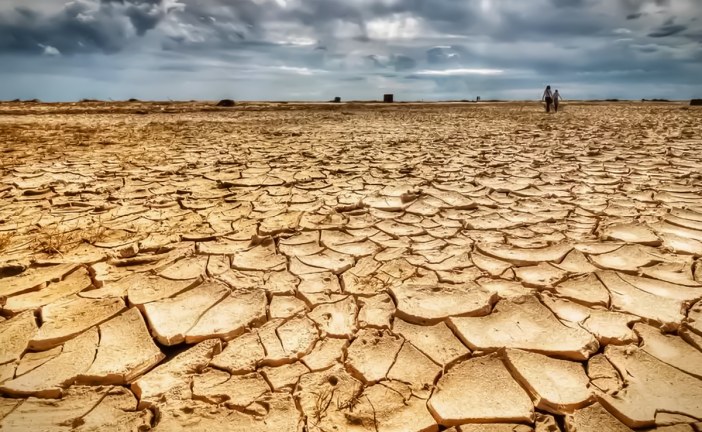 المملكة تنضم إلى تحالف مواجهة الجفاف الدولي