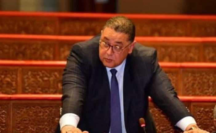 عبد الرحمان الوفا: تعزيز العلاقات مع منطقة أمريكا اللاتينية والكراييب ينسجم و الخيار الاستراتيجي للمملكة