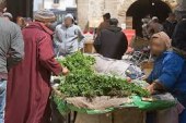 المندوبية السامية للتخطيط :تكشف عن اغنى وافقر جهات المغرب