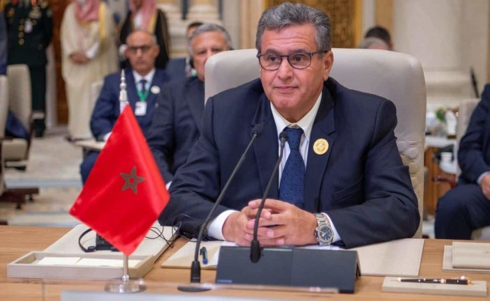 وطنية عزيز أخنوش: منتدى التعاون الصيني-الإفريقي شكل مناسبة للتأكيد على التزام المغرب لصالح تنمية إفريقيا