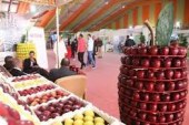 افتتاح الدورة الرابعة للملتقى الوطني للتفاح بميدلت