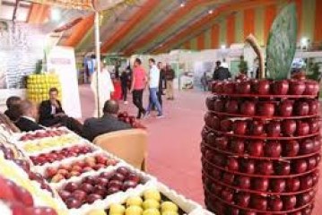 افتتاح الدورة الرابعة للملتقى الوطني للتفاح بميدلت