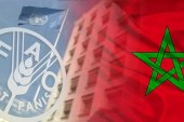 روما.. انطلاق أشغال الدورة الثانية والخمسين للجنة الأمن الغذائي بمشاركة المغرب
