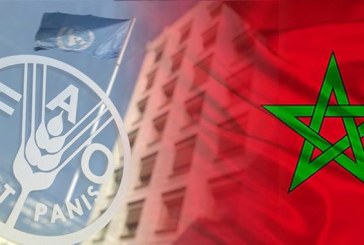 روما.. انطلاق أشغال الدورة الثانية والخمسين للجنة الأمن الغذائي بمشاركة المغرب