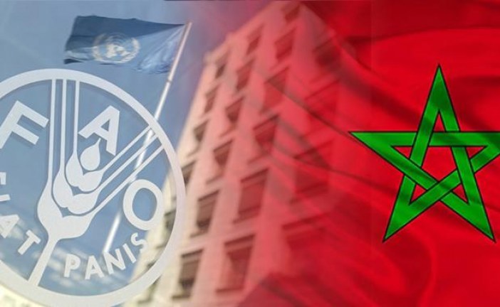 روما.. انطلاق أشغال الدورة الثانية والخمسين للجنة الأمن الغذائي بمشاركة المغرب