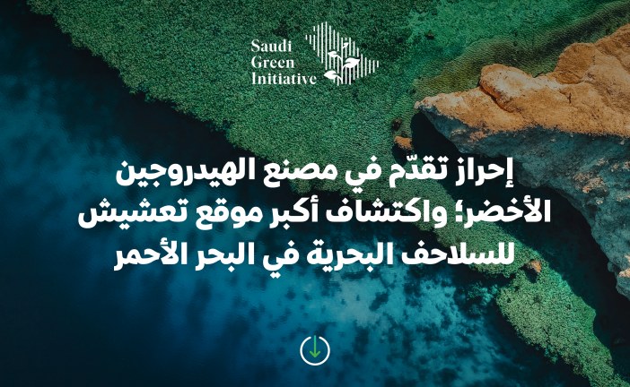 مبادرات ومشاريع ايكو-طاقية بالسعودية