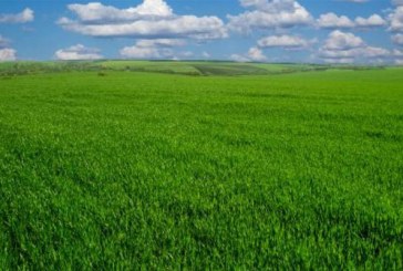 توقعات أحوال الطقس اليوم الأربعاء