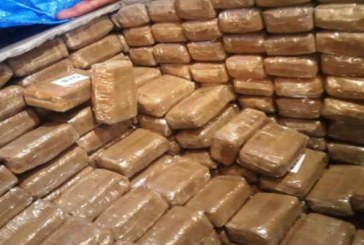 بني ملال ..إجهاض عملية للتهريب الدولي لثلاثة أطنان و960 كلغ شيرا