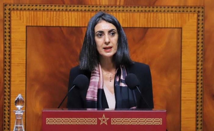 فتاح العلوي: تنويع الشركاء الدوليين أحد الأولويات الاستراتيجية للسياسة الخارجية للمغرب