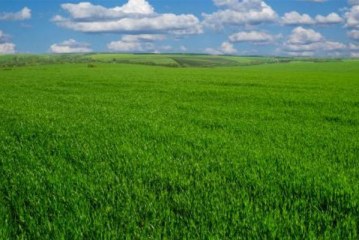 توقعات أحوال الطقس اليوم الأربعاء