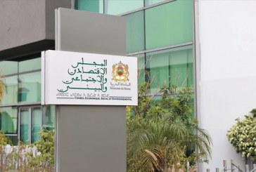 المجلس الاقتصادي والاجتماعي والبيئي يطلق شخصيته الافتراضية الأولى “رؤية”
