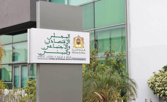 المجلس الاقتصادي والاجتماعي والبيئي يطلق شخصيته الافتراضية الأولى “رؤية”