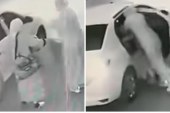 جريمة اختطاف تهز سيدي بنور والشرطة تفتح تحقيقًا معمقا في النازلة