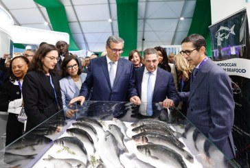 رئيس الحكومة يعطي الانطلاقة الرسمية لفعاليات الدورة 7 لمعرض “أليوتيس” الدولي بأكادير