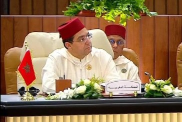 ناصر بوريطة يؤكد دعم جلالة الملك لحقوق الفلطسنيين في القمة العربية غير العادية