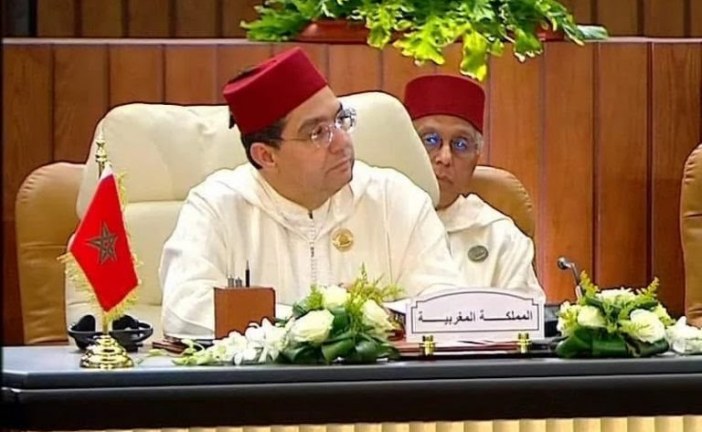 ناصر بوريطة يؤكد دعم جلالة الملك لحقوق الفلطسنيين في القمة العربية غير العادية