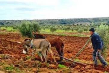معاناة الفلاحين بالاطلس المتوسط