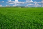توقعات أحوال الطقس لليوم الجمعة