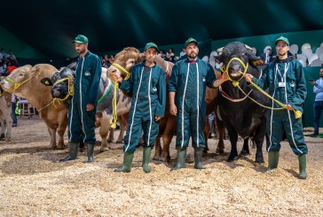الملتقى الدولي للفلاحة بالمغرب2025 : تسليم الجوائز للفائزين في مباريات انتقاء أحسن رؤوس الماشية