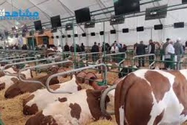 يوميات المعرض الدولي للفلاحة الدورة 17