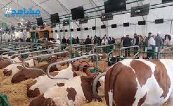 يوميات المعرض الدولي للفلاحة الدورة 17