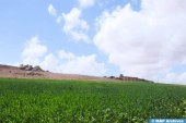 توقعات احوال الطقس ليوم غد الثلاثاء