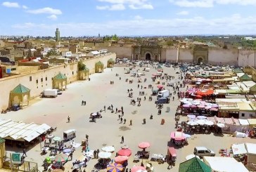مكناس: أما آن لمكناسة الزيتون أن تنطلق؟
