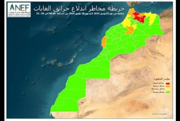 الوكالة الوطنية للمياه والغابات تصدر خرائط تنبؤ تحدد بدقة المناطق الحساسة والمعرضة لخطر اندلاع الحرائق الغابوية