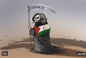 مبادرة مغربية تطالب العالم بتصنيف البوليساريو ضمن المنظمات الإرهابية