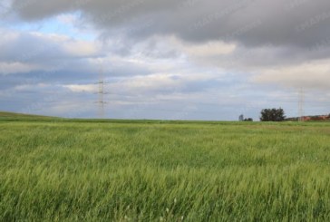 توقعات أحوال الطقس غدا الجمعة