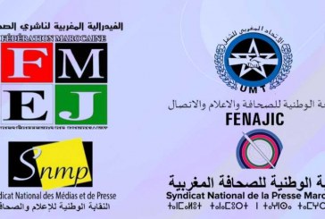 بعد لقاءاتها مع المجلس الاقتصادي والاجتماعي والبيئي: الهيئات المهنية تواصل النضال والتعبئة ضد المشروع المشؤوم لإعادة تنظيم المجلس الوطني للصحافة (بلاغ صحفي)