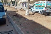 مكناس: مسلسل  الإجهاز على الذاكرة الخضراء للمدينة متواصل