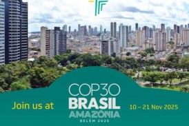 أفريكسيم بنك يتصدر جهود إفريقيا في التنمية المستدامة والتصنيع والانتقال العادل للطاقة خلال مؤتمر الأطراف الـ30