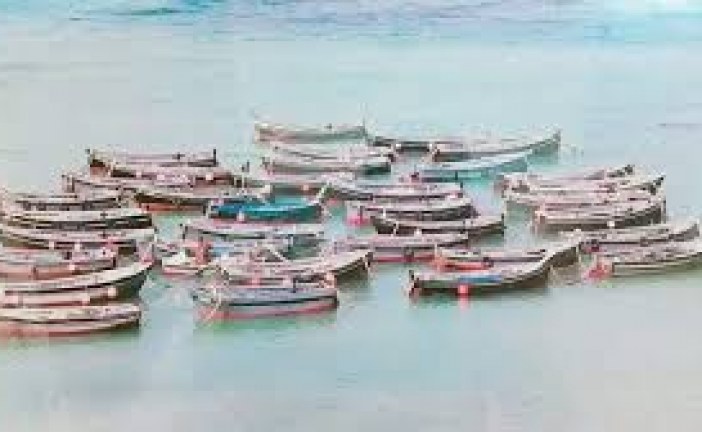 معاناة بحارة الصيد التقليدي بالقصر الصغير تجر البواري إلى المساءلة البرلمانية