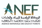 بلاغ صحفي توضيحي من طرف الوكالة الوطنية للمياه والغابات حول  :”صرف منح وإعانات لفائدة جمعيات وتعاونيات غابوية دون تتبع أو مراقبة بنواحي مدينة مكناس”.