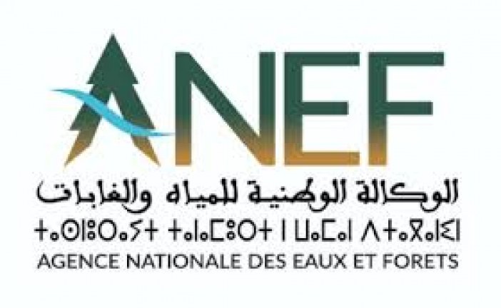 بلاغ صحفي توضيحي من طرف الوكالة الوطنية للمياه والغابات حول  :”صرف منح وإعانات لفائدة جمعيات وتعاونيات غابوية دون تتبع أو مراقبة بنواحي مدينة مكناس”.