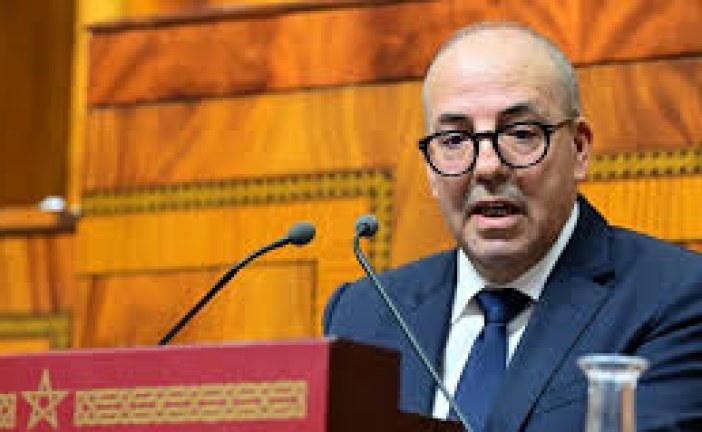 برلمانية تسائل البواري حول تدابير حماية المغرب من المبيدات المحظورة المُصدَّرة من أوروبا